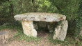 /album/la-roche-courbon-le-27-aout-2025/img-20250827-wa0004-1-jpg/